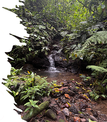 Waterfall